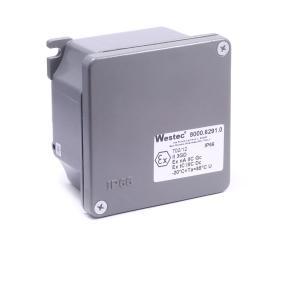 AL8000EX - hliníková krabice IP66, ATEX, - 20°C + 85°C, II 3GD  zóna 2 a 22